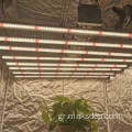 LED Grow Light 6x6 ρύθμιση δωματίου